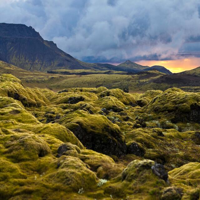 Landschaft in Island