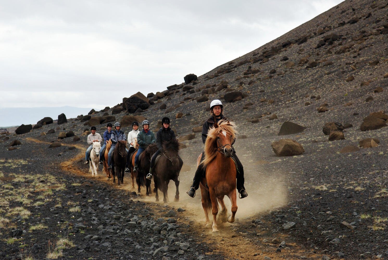 Island Rundreise Pferd