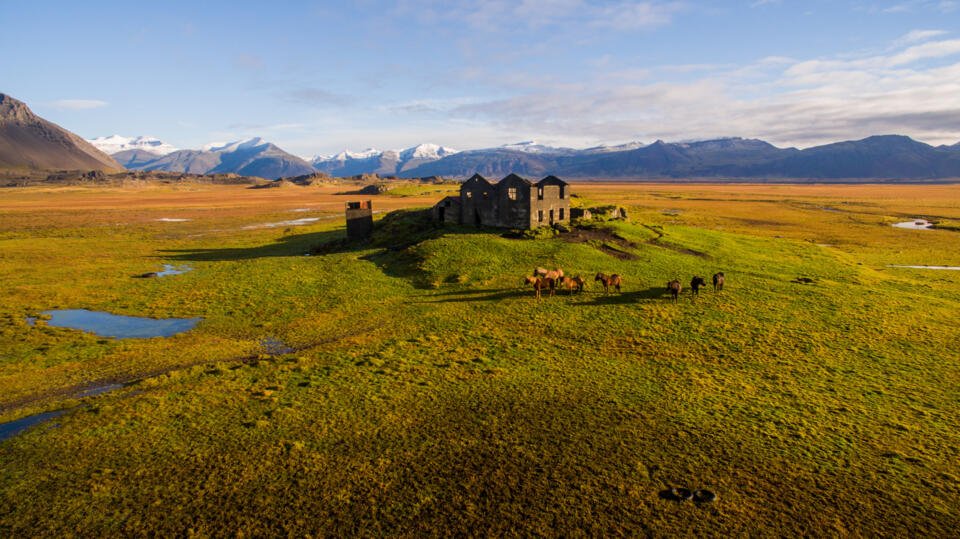 Island alter Bauernhof und Pferde